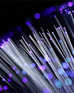 PRG Networks